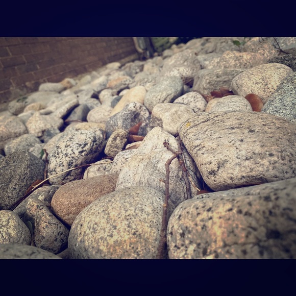 Bundle time! 🌻🙌🏼 - Picture 1 of 1